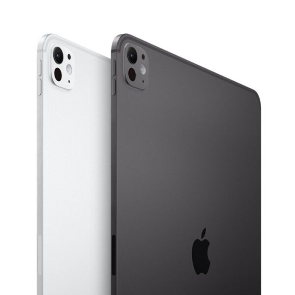 Apple iPad Pro 2024 13" Wifi 256GB Prateado