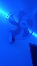 IMG_665a129291336_20240531181026594740.