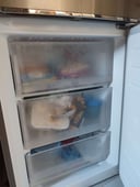 IMG_66b390dc54313_20240807152100344848.