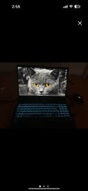 IMG_66f5f4cbd968a_20240926235659890505.png