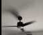 IMG_6a4f6272981f0_20260709085722623087.png